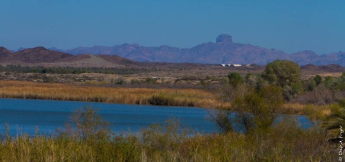 Yuma AZ February 2020-24