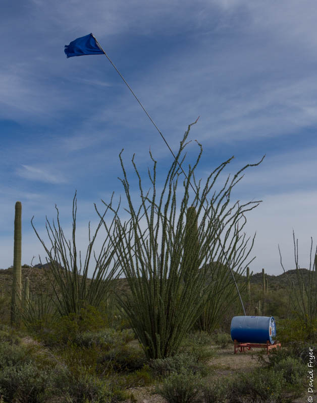 Ajo AZ March 2020-22