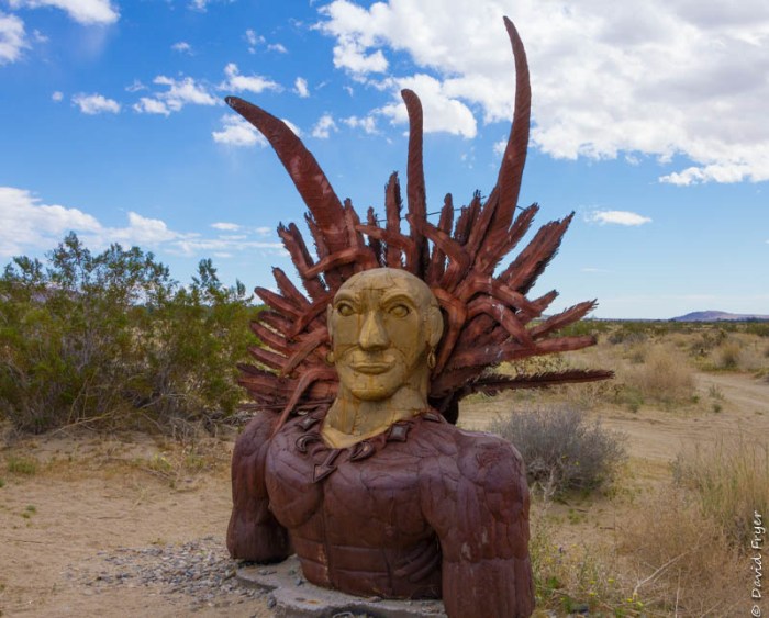 Anza-Borrego CA February 2020-47