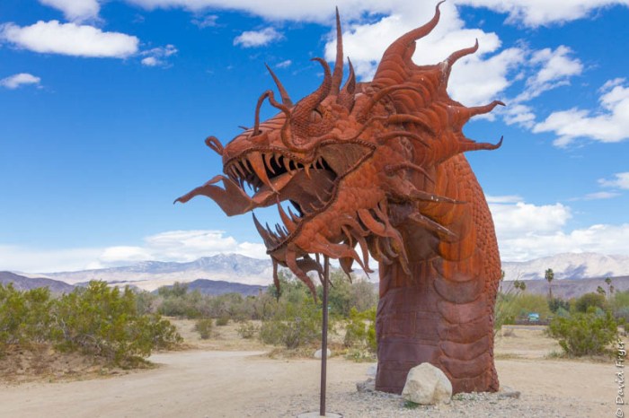 Anza-Borrego CA February 2020-69