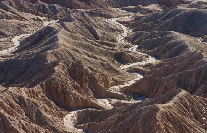Anza Borrego SP March 2020-110