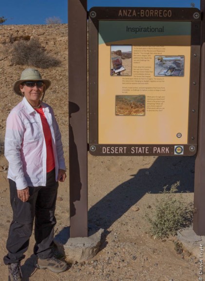 Anza Borrego SP March 2020-97