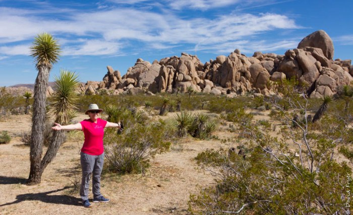 Josuha Tree NP March 2020-63