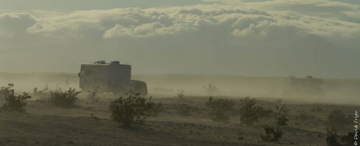 Salton Sea CA March 2020-15