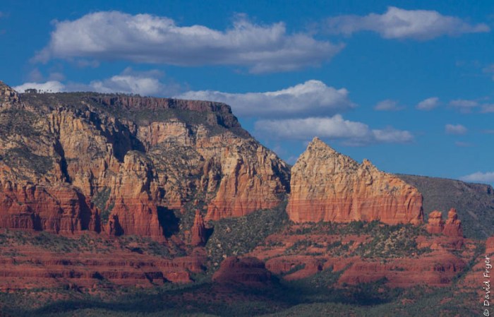 Organ Pipe Sedona and Camp Verde AZ April 2020-112