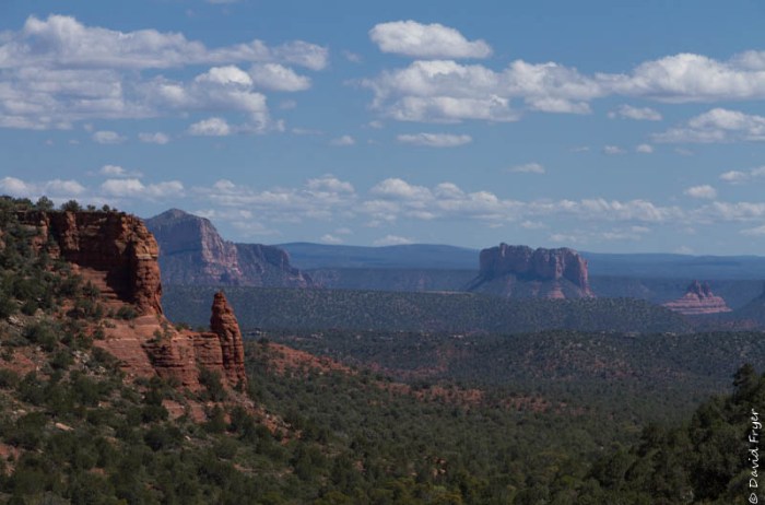 Organ Pipe Sedona and Camp Verde AZ April 2020-78