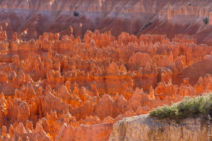 Bryce Utah June 2020-88