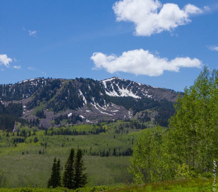 Wastch Mountain Midway Utah June 2020-111