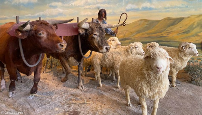 Baker City OR July 2020-2