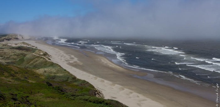 Forence OR July 2020-111