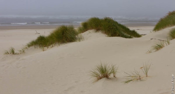 Forence OR July 2020-129