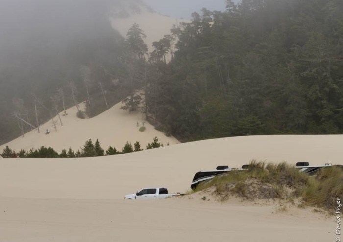 Forence OR July 2020-34