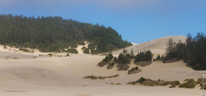 Forence OR July 2020-45