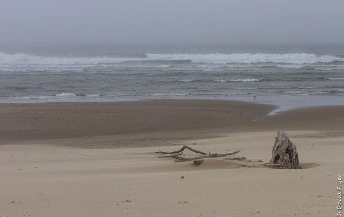 Forence OR July 2020-53