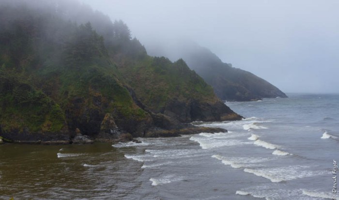 Forence OR July 2020-68