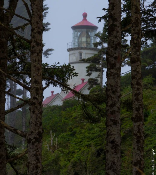 Forence OR July 2020-73