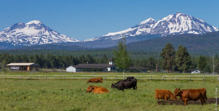 Redmond OR July 2020-1-2