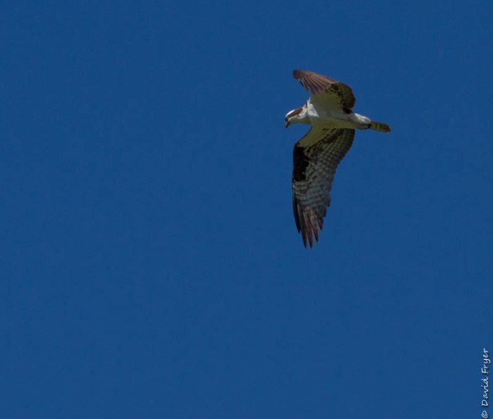 Redmond OR July 2020-22-3