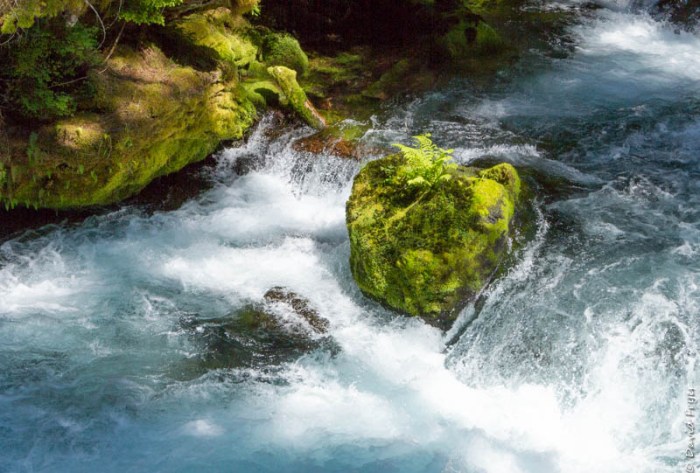 Redmond OR July 2020-26-2