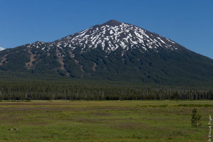 Redmond OR July 2020-35-3