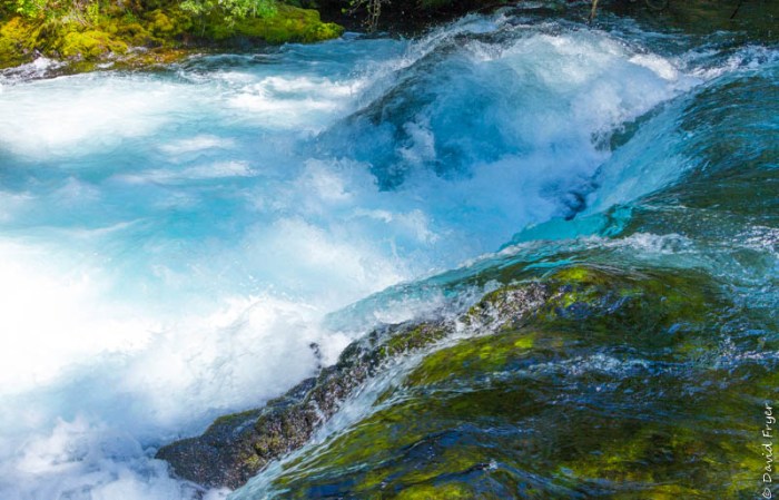 Redmond OR July 2020-37-2