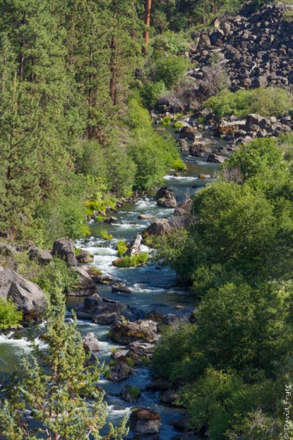 Redmond OR July 2020-43