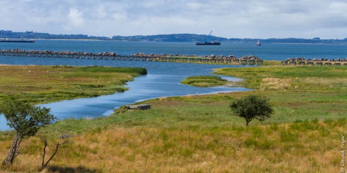 Astoria OR July 2020-110