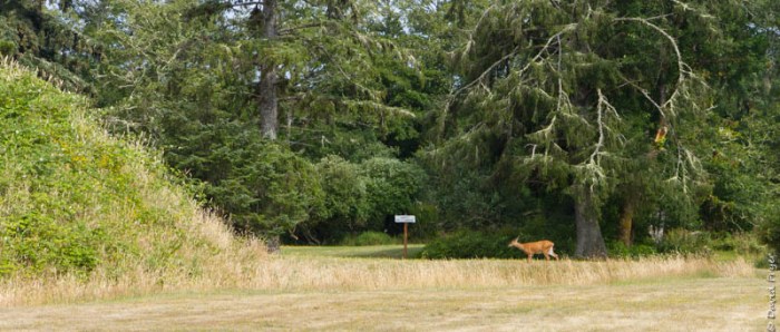 Astoria OR July 2020-115