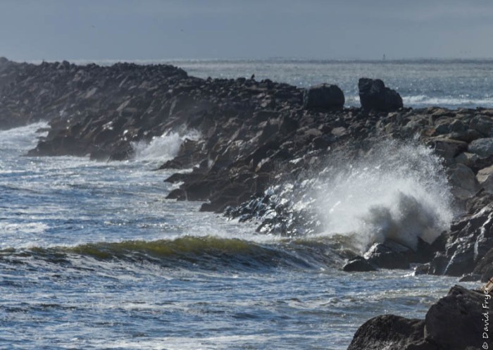 Astoria OR July 2020-143