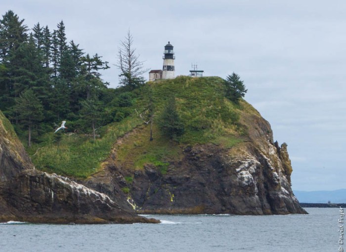 Astoria OR July 2020-310