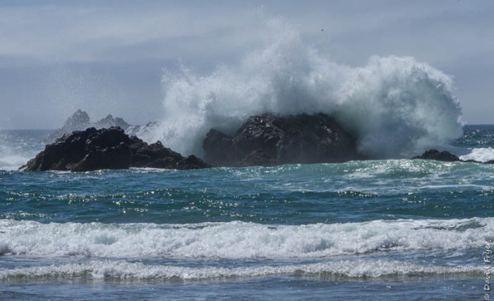 Cannon Beach OR July 2020-36