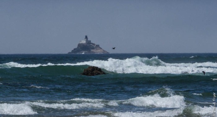 Cannon Beach OR July 2020-52