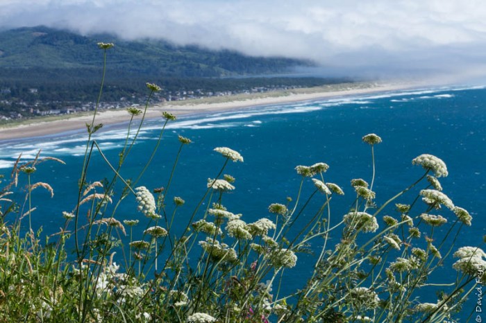 Cannon Beach OR July 2020-77