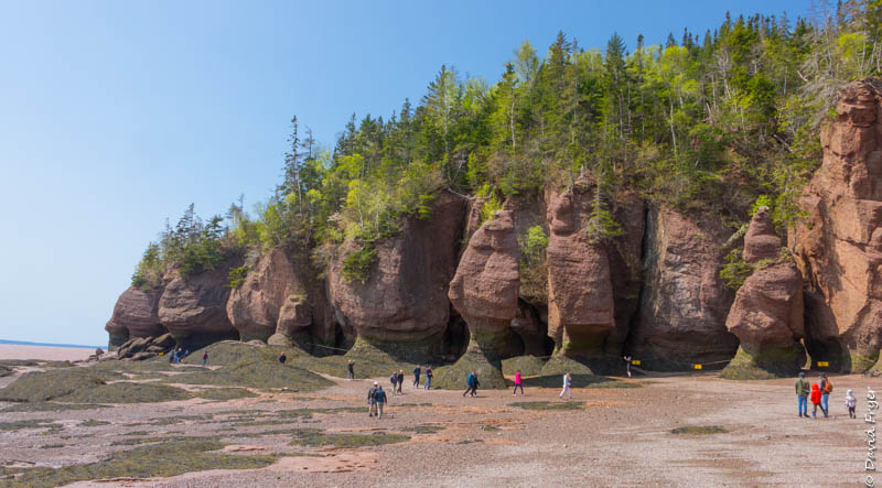 Hopewell Rocks Fish Nb Hopewell Rocks – New Brunswick – Piddlin' Around