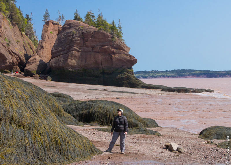 Hopewell Rocks Fish Nb Hopewell Rocks – New Brunswick – Piddlin' Around